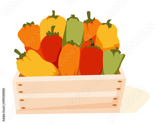 Bell pepper. Wooden box with sweet pepper. Useful vegetable. Farmers market. Storage, transportation of products to the store. Vector