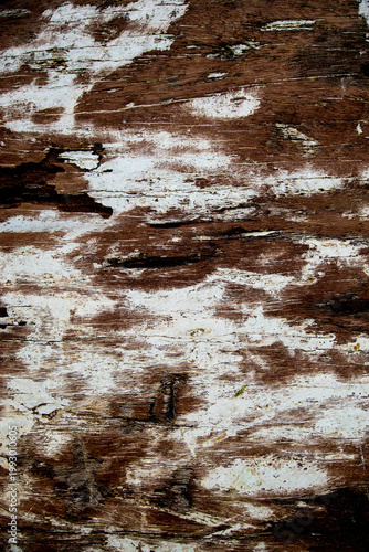 Old wood texture with natural patterns.