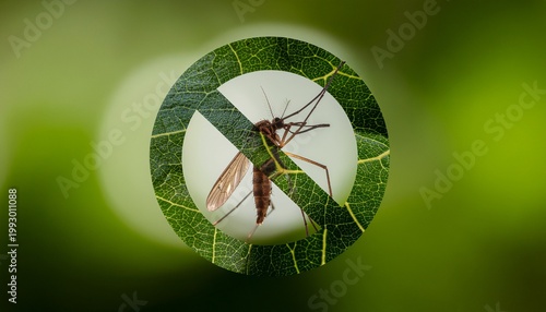A mosquito inside a crossed-out circle made of a green leaf, symbolizing natural pest control or a mosquito-free zone.