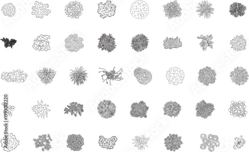 Set of trees, various plants, shrubs, top view, floor plan, architectural plan, landscape design, symbol, icon, customizable stroke, vector