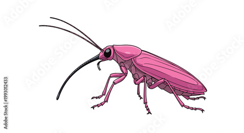 Detailed illustration of a pink cockroach with long antennae and legs shown from a side profile on a clean white background.