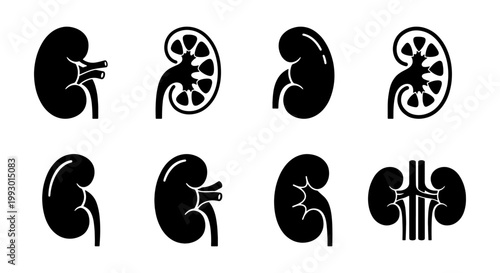 Human kidney icon set with 8 black vector symbols, medical renal system anatomy illustrations, urology healthcare silhouettes for infographics