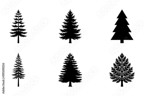Pine tree silhouette collection, set of 6 evergreen conifer vector icons, black spruce and fir forest elements for outdoor nature branding