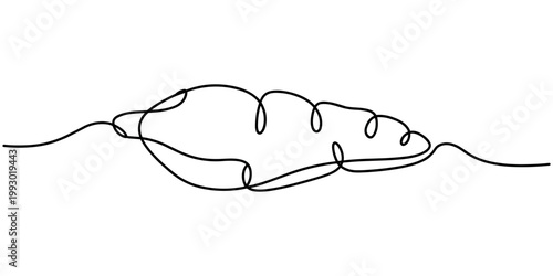 Black continuous line of a sweet potato tuber on white background root vegetable organic agriculture