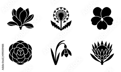 Minimalist black floral icons set, 6 botanical flower silhouettes including magnolia and dandelion, elegant nature vector symbols for branding