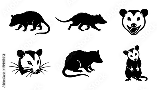 Opossum silhouette vector set, 6 black marsupial icons in various poses, wild opossum animal head and body graphics for nature design