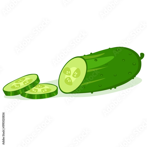 Sliced Cucumber Illustration