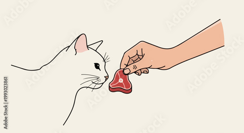 White cat curiously sniffs a raw steak held by a person's hand