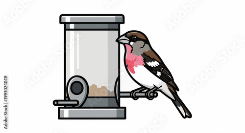 A bird with pink chest perched on a seed feeder