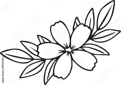 Outline of Flower with Leaves