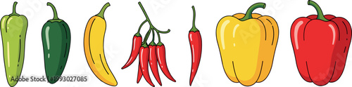 Chili peppers and bell peppers set with green yellow and red varieties fresh vegetable vector illustration