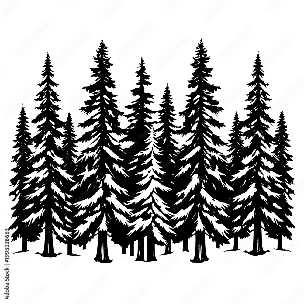 Obraz premium A black silhouette of a forest of pine trees on a transparent background