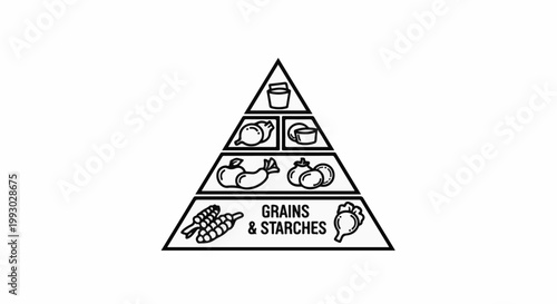 A simple food pyramid diagram shows levels with various food items