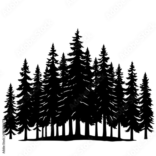 A black silhouette of a forest with tall pine trees on a white background