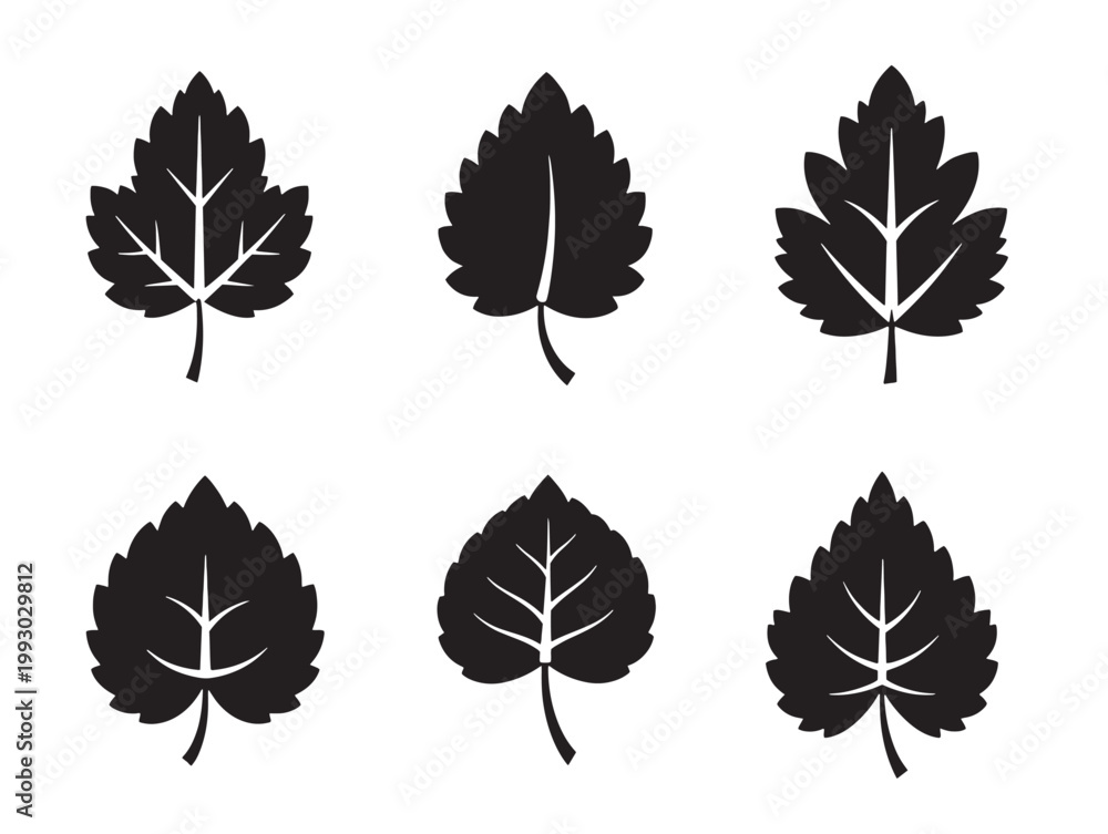 Obraz premium Six stylish maple leaf silhouettes vector illustration with varying orientations
