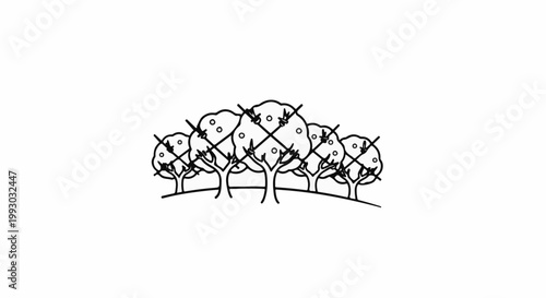 Minimalist drawing of an orchard with trees, representing cultivation and harvest