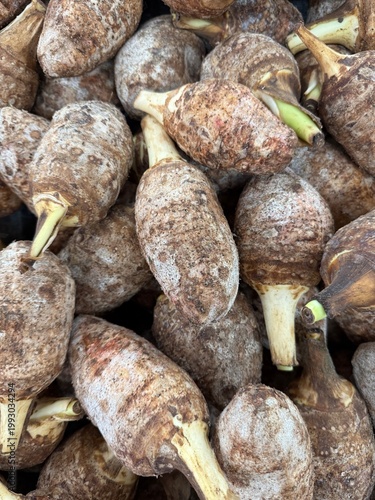Fotografía Taro roots with visible stems and brown husks piled together, showcasing texture
