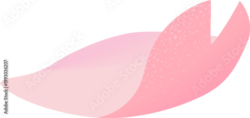 Cherry Blossom Petal