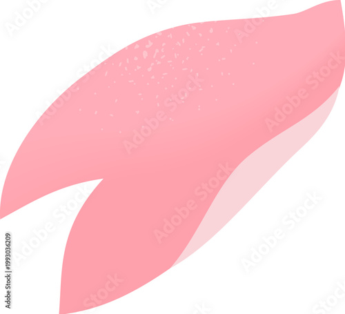 Cherry Blossom Petal