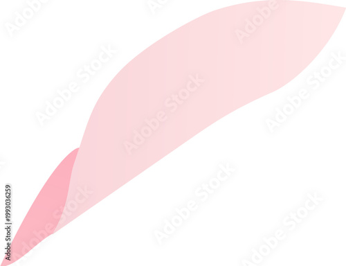 Cherry Blossom Petal