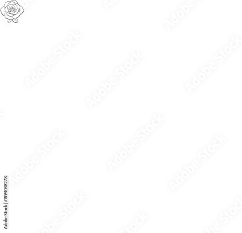 Beautiful rose flower line art drawing