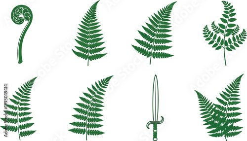 Collection of green fern leaves and a sword botanical illustrations in flat design style for nature and history concepts isolated on white background