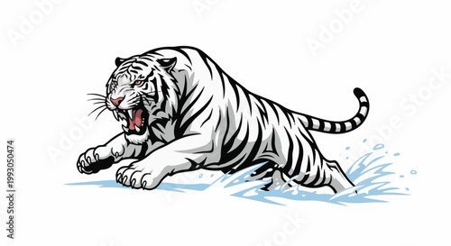 Aggressive white tiger emerging from splashing water with teeth bared