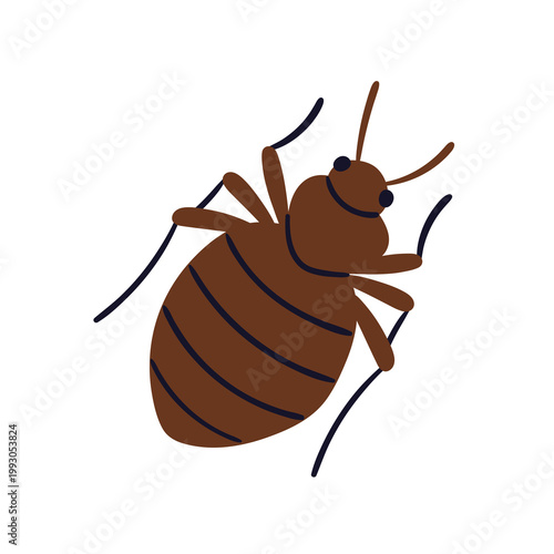 Bed bug icon, top view. Bedbug crawling. Home parasite insect. Cimex lectularius, mattress pest. Small parasitic biting fauna. Flat vector illustration isolated on white background