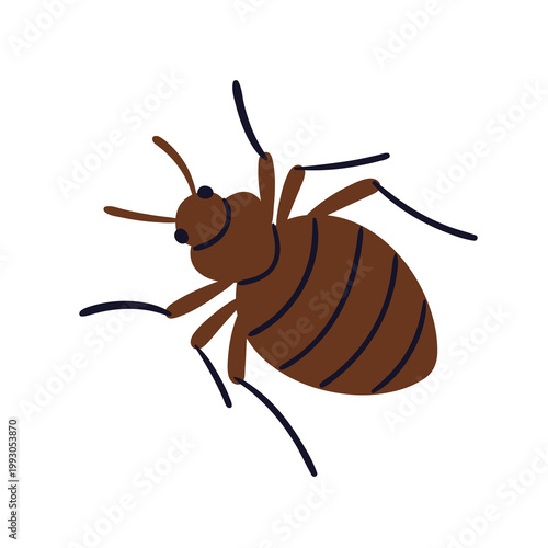 Bedbug icon. Bed bug, top view. Home mattress and bedroom parasite. Cimex lectularius, parasitic bloodsucking pest, infection carrier. Flat vector illustration isolated on white background