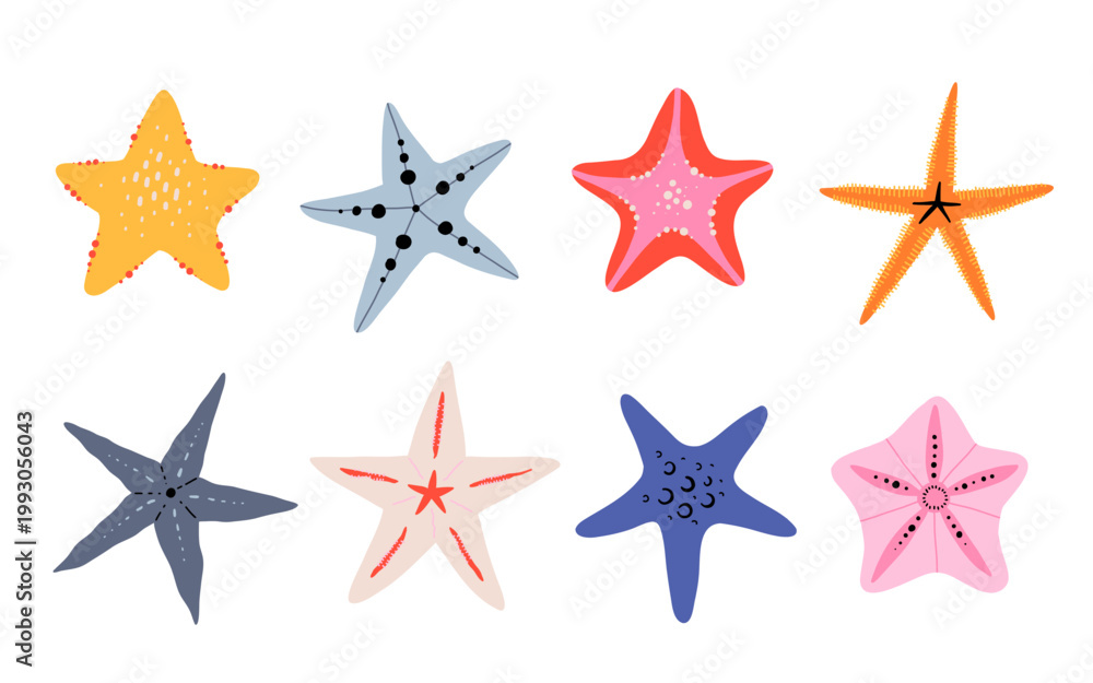 Fototapeta premium Colorful starfish set, different sea star shapes and species, ocean creature collection isolated on white background, flat vector