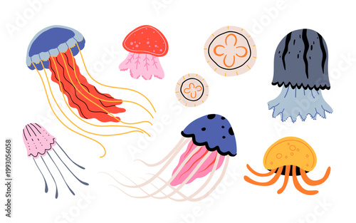 Hand drawn jellyfish set, different species and shapes, glowing medusa, ocean creature collection isolated on white background, flat vector