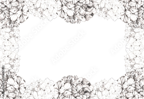 Quadro su tela Romantic hydrangea blossoms, elderberry pompom blooms, viburnum flowers with delicate pencil sketch lines
