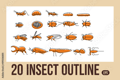 Illustration of Cute Insect doodle outline collection