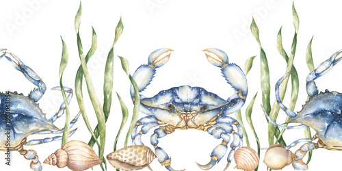 Watercolor Blue Crab and shells Seamless Border Illustration, marine life animal repeating pattern