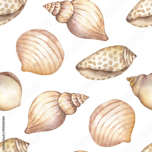 Watercolor SeaShells Seamless  Pattern Illustration, marine life repeating pattern