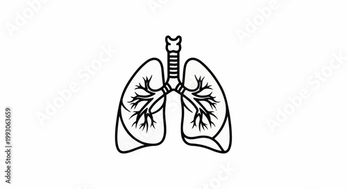 Simple black line drawing of human lungs with trachea and bronchial tubes