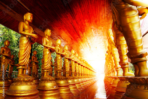 Lines of standing Buddha statues, each holding an alms bowl.