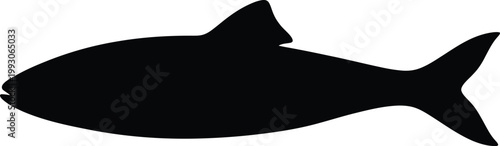 Simple black fish vector illustration, a sleek graphic design of a common aquatic animal, perfect for nature and food concepts.