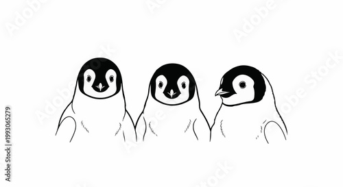 Three cartoon penguin chicks stand together against a white background