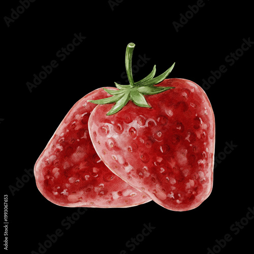 strawberry illustration
