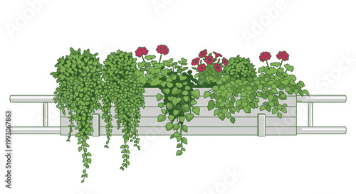 Colorful Flowers in Hanging Planter Box, Balcony Garden Decoration