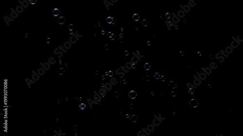 Transparent soap bubbles floating against a solid black background for creative composite design