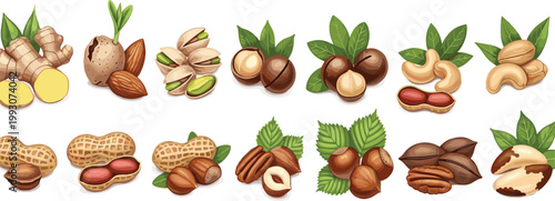 Assorted nuts and seeds collection with almonds, pistachios, hazelnuts, peanuts and cashews, detailed hand drawn food illustration set for healthy snacks and organic design