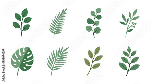 Collection of Eight Different Green Leafy Plant Sprigs and Branches.