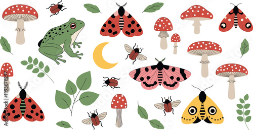 Forest insects and mushrooms set with ladybugs moths frog leaves and toadstools whimsical nature vector illustration