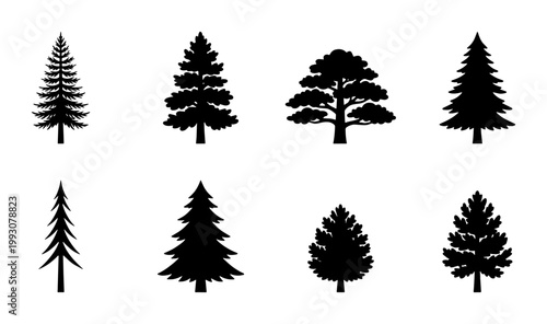 Foto Pine tree silhouettes collection, set of 8 evergreen conifer vector icons, black