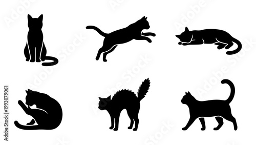 Black cat silhouette collection, set of 6 feline vector icons in various poses, minimalist domestic cat shapes for pet branding and animal logos