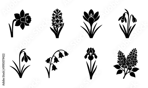 Spring flower silhouette icons set, 8 floral vector elements, black botanical garden plant signs