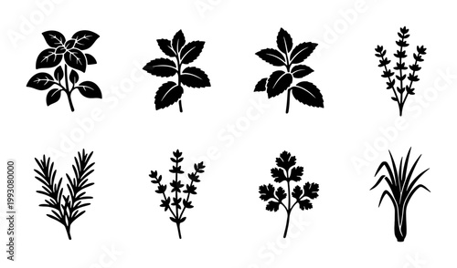 Photos Culinary herbs and spices icon set, 8 black botanical silhouettes of basil, rose