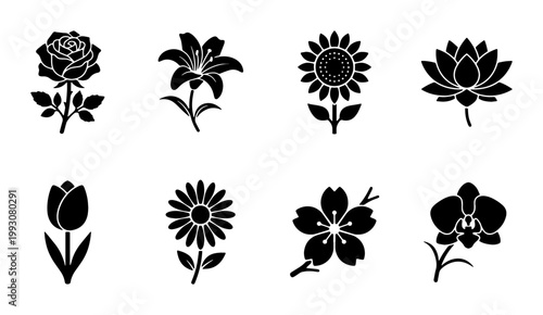 Minimalist black flower icons set, 8 floral vector silhouettes including rose and lily, botanical garden blossom symbols for logo design